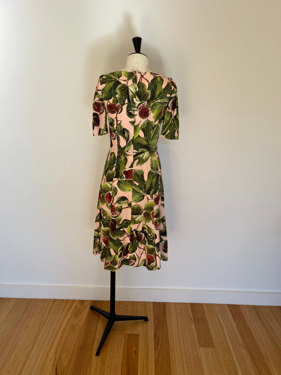 Dolce & Gabbana Fig Print Dress