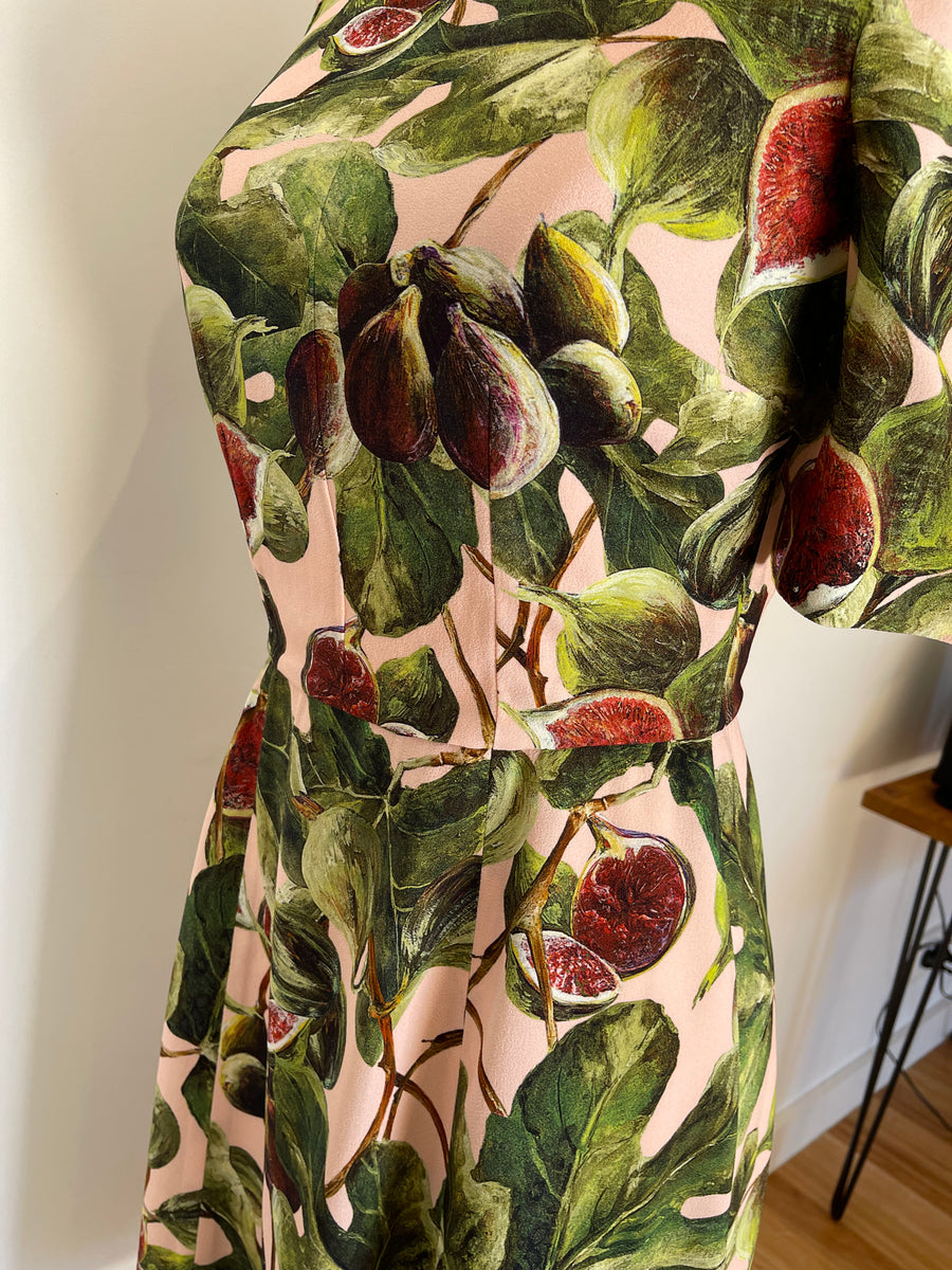 Dolce & Gabbana Fig Print Dress