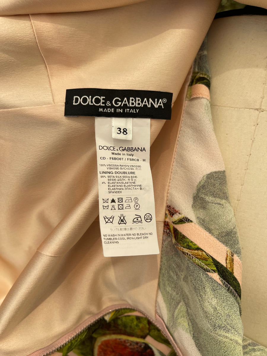 Dolce & Gabbana Fig Print Dress